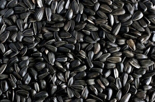 seeds to replace cigarettes when quitting smoking